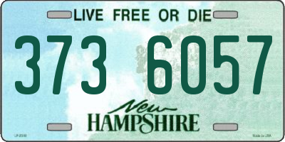 NH license plate 3736057