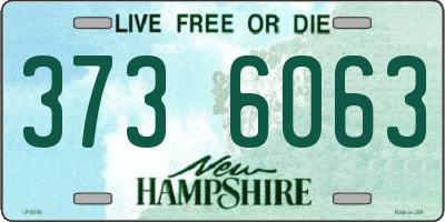 NH license plate 3736063
