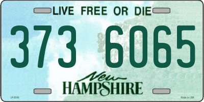 NH license plate 3736065