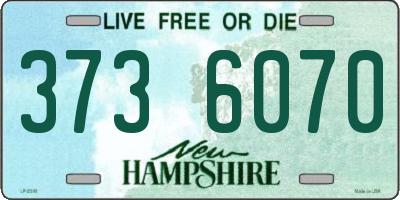 NH license plate 3736070