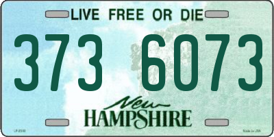 NH license plate 3736073