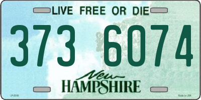 NH license plate 3736074