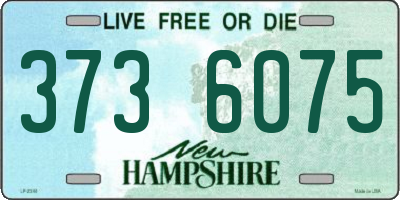 NH license plate 3736075