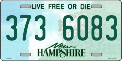 NH license plate 3736083