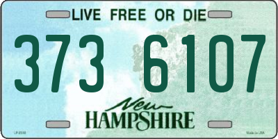 NH license plate 3736107