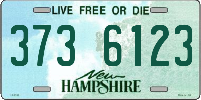 NH license plate 3736123