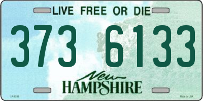 NH license plate 3736133