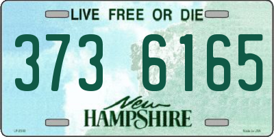 NH license plate 3736165