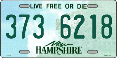 NH license plate 3736218