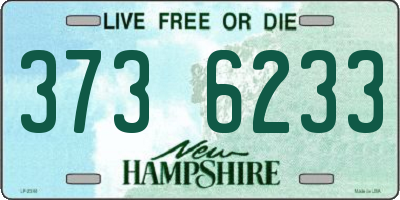 NH license plate 3736233
