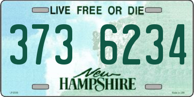 NH license plate 3736234