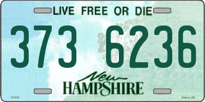 NH license plate 3736236