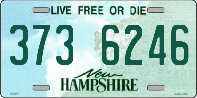 NH license plate 3736246
