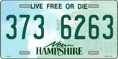 NH license plate 3736263