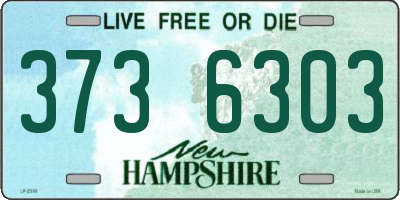 NH license plate 3736303
