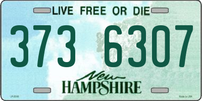 NH license plate 3736307