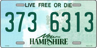 NH license plate 3736313