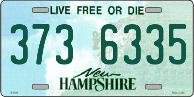 NH license plate 3736335