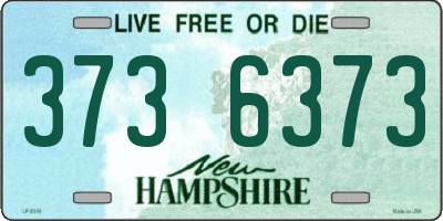 NH license plate 3736373