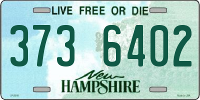 NH license plate 3736402
