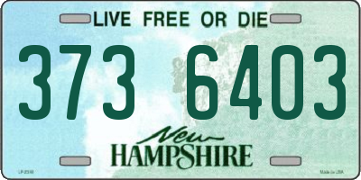 NH license plate 3736403