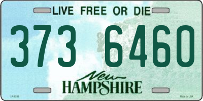 NH license plate 3736460