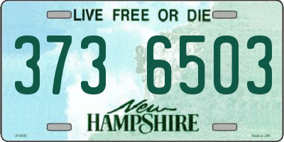 NH license plate 3736503