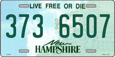 NH license plate 3736507