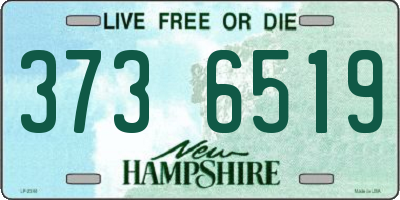 NH license plate 3736519