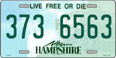 NH license plate 3736563