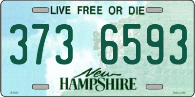 NH license plate 3736593