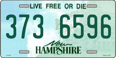 NH license plate 3736596