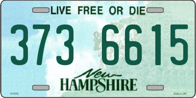 NH license plate 3736615