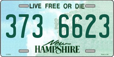 NH license plate 3736623