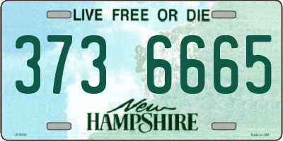 NH license plate 3736665