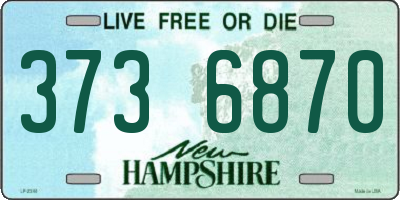 NH license plate 3736870