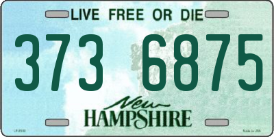NH license plate 3736875