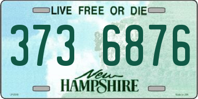 NH license plate 3736876