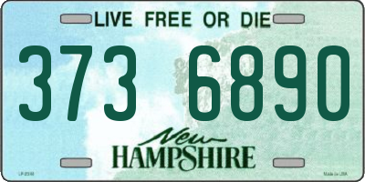 NH license plate 3736890