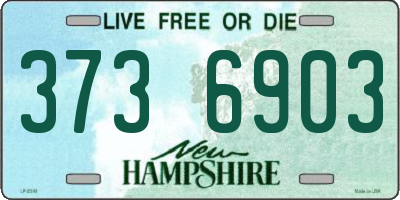 NH license plate 3736903