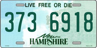 NH license plate 3736918