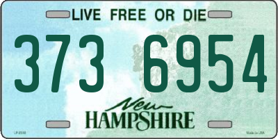 NH license plate 3736954