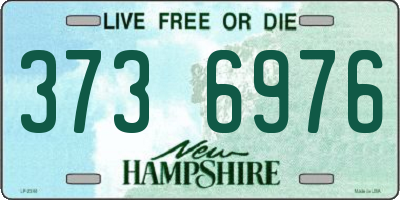NH license plate 3736976