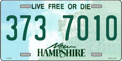 NH license plate 3737010