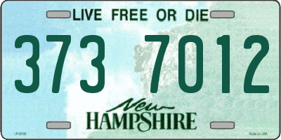 NH license plate 3737012