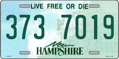 NH license plate 3737019