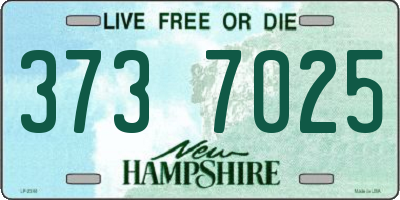 NH license plate 3737025