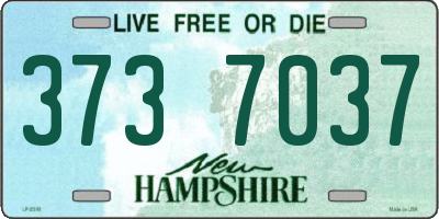 NH license plate 3737037
