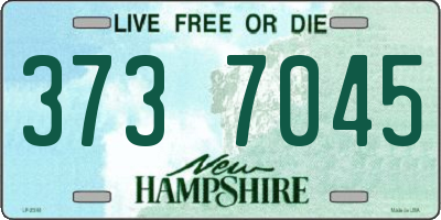 NH license plate 3737045