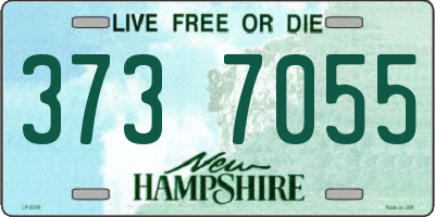 NH license plate 3737055